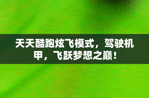 天天酷跑炫飞模式图片