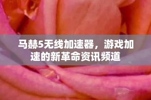 游戏加速的新革命资讯频道图片