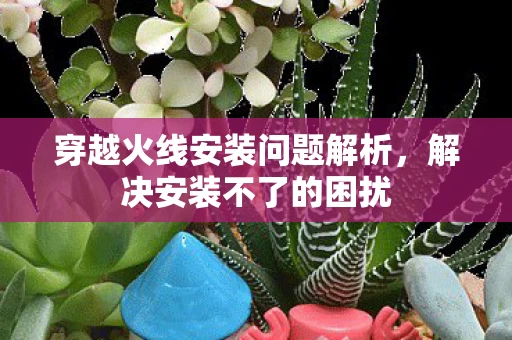 穿越火线安装问题解析图片