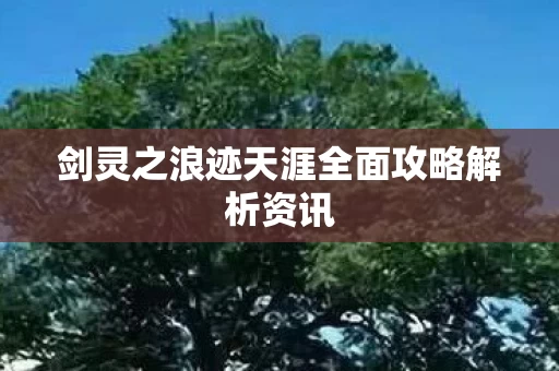 剑灵之浪迹天涯全面攻略解析资讯图片