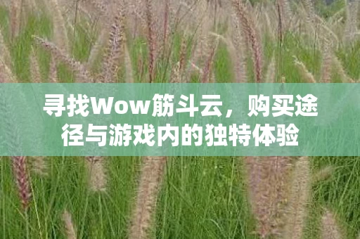 购买途径与游戏内的独特体验图片