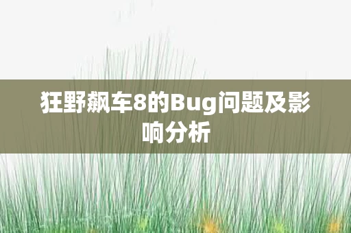 狂野飙车8的Bug问题及影响分析图片