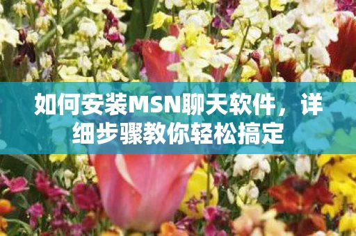 如何安装MSN聊天软件图片