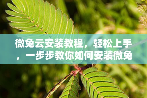 一步步教你如何安装微兔云图片