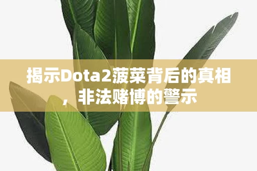 揭示Dota2菠菜背后的真相图片