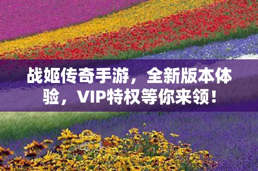 VIP特权等你来领图片