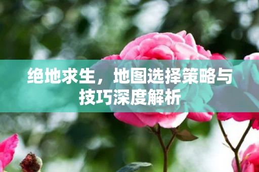 地图选择策略与技巧深度解析图片
