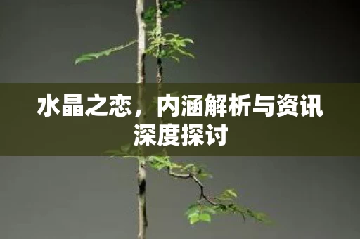 内涵解析与资讯深度探讨图片